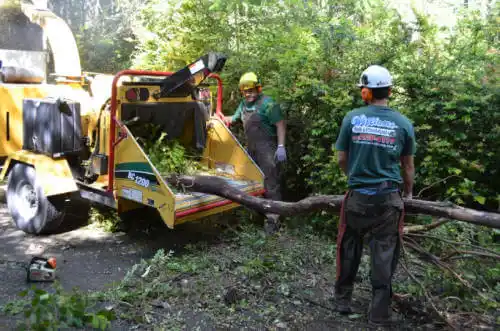 tree services Tower Lakes